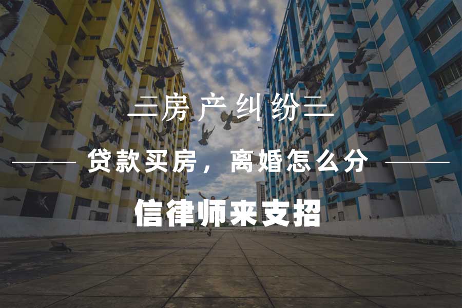 北京房产分割律师-信金国